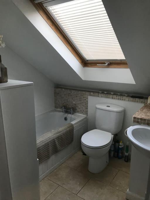 Ultra Stylish Furnished In *
