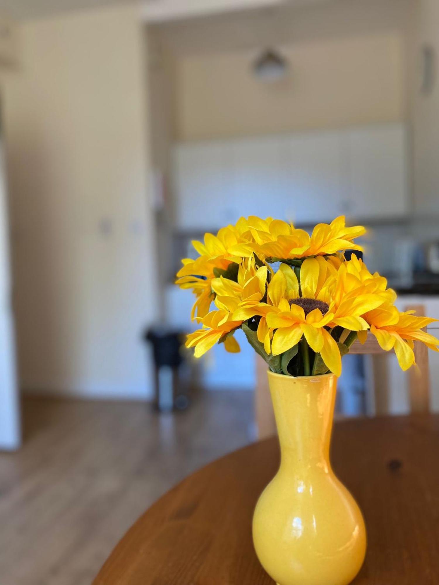 Cute 1 Bedroom Retreat In Beautiful Stockbridge *