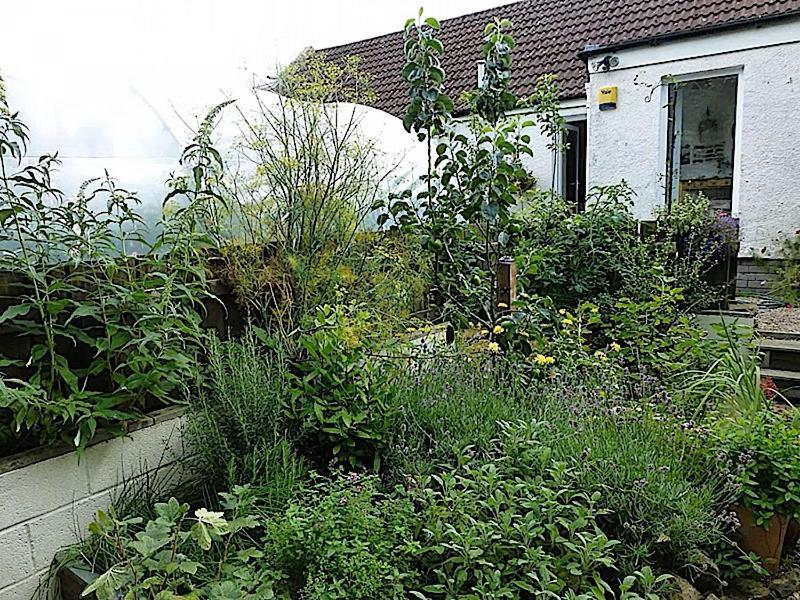 3 Bed Charming Cottage For Share ,, Private Room , Fibre Optik Broadband , Free Parking Frühstückspension EDI