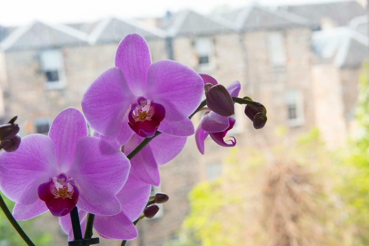 Boutique City Centre 1 Bed Edinburgh