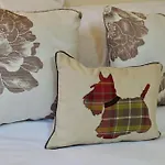 Caledonian - Charming Central 1 Bed Flat
