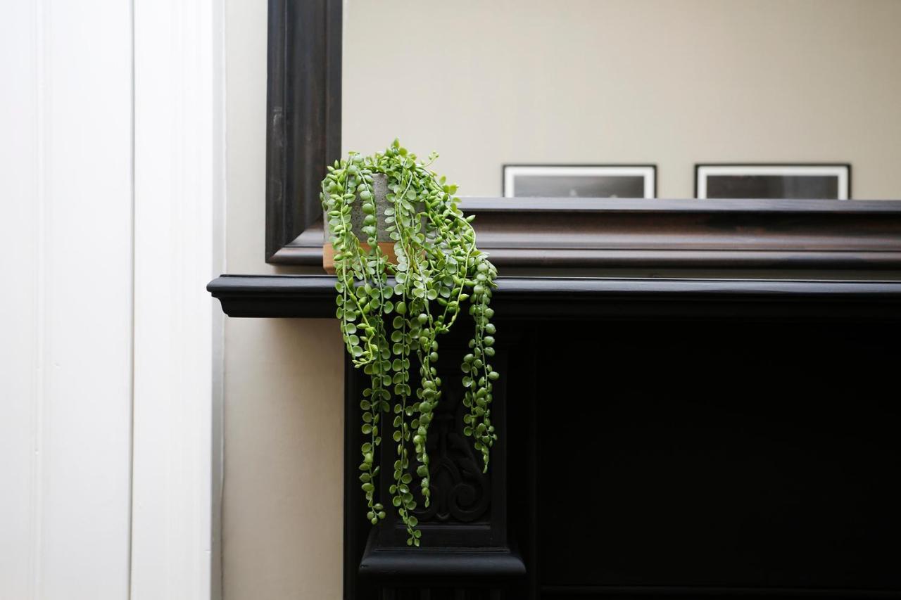 Joivy Modern In Stockbridge * Edinburgh